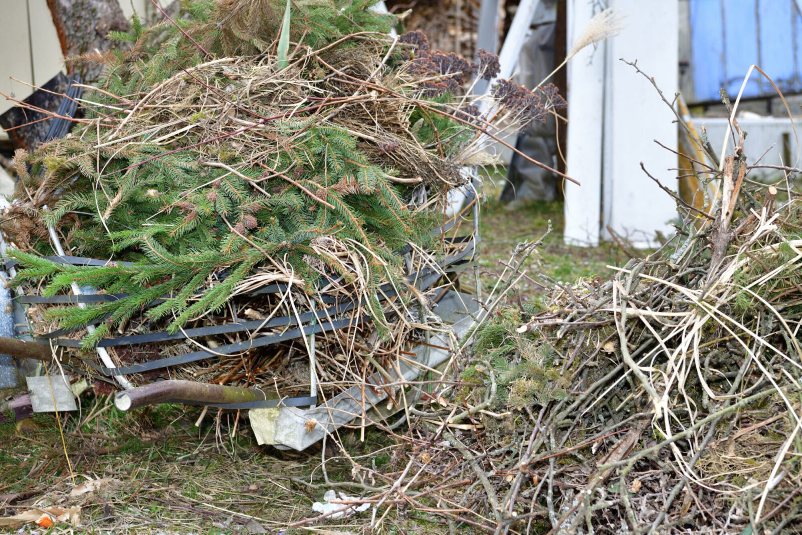 5 Reasons You May Need a Yard Debris Removal Service